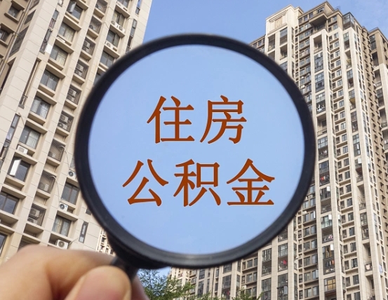 平阳退休后查不到公积金明细了吗（退休后公积金查询不到原因）